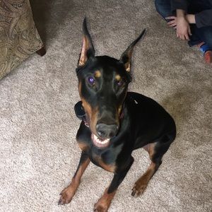 Meet your Posher, Christina